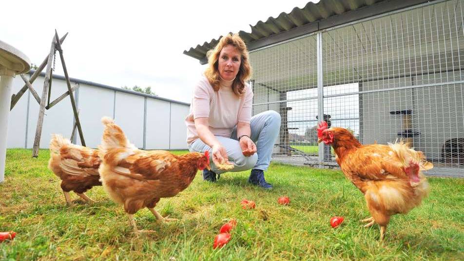 Beatrice Baumann füttert in ihren Garten Legehennen, die sie gerettet hat