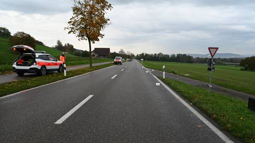 Fussgänger wird in Winkel von Lieferwagen angefahren 