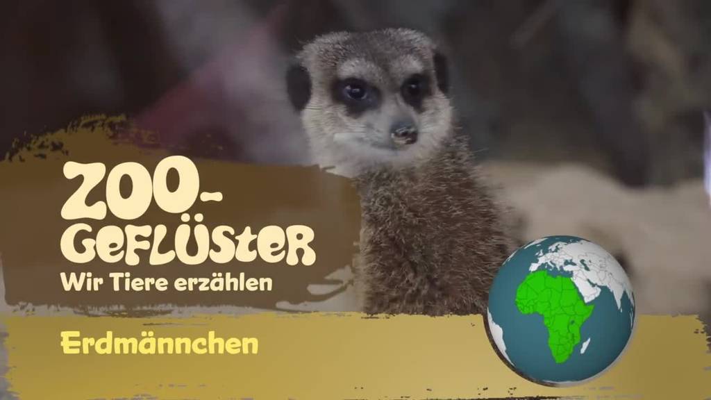 Nennt mich Wächter der Savanne
