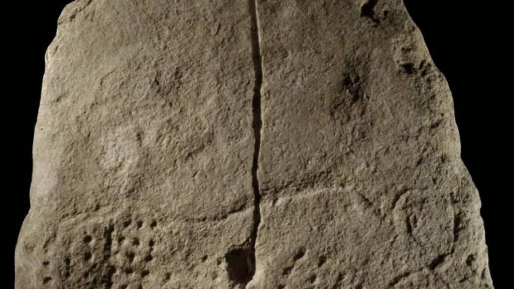 Laut US-Archäologen ist das eine 38'000 Jahre alte, pointillistische Darstellung eines Mammuts. (Handout NYU)