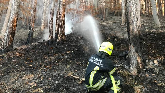 Waldbrand in Österreich – Regierungsspitze im Krisengebiet