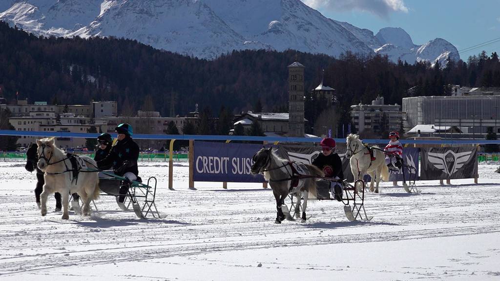 Ponyrennen auf dem Eis