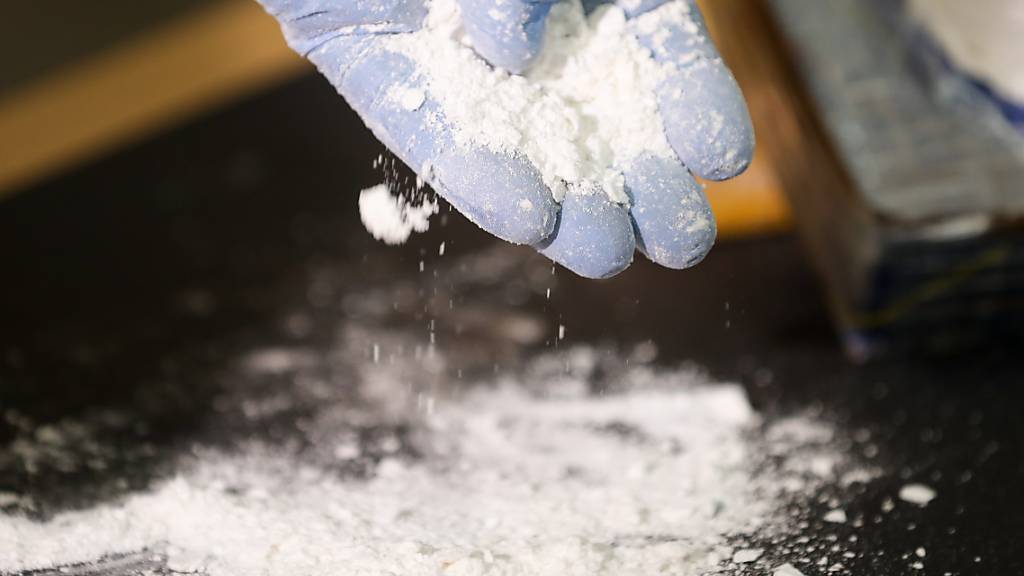 Kokain - präsentiert von einem deutschen Zollbeamter 2017 an einer Medienkonferenz. (Archivbild)