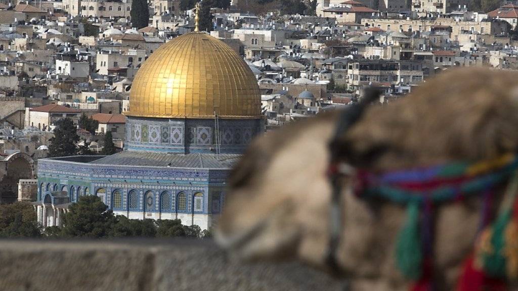 Sowohl von Israel wie auch von den Palästinensern als ihre Hauptstadt beansprucht: Jerusalem - Blick auf den Felsendom, die viel fotografierte Moschee in der Altstadt (aktuelle Aufnahme).