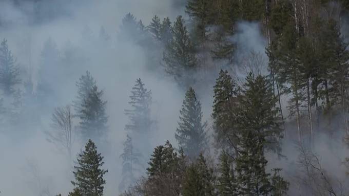 Im Kanton Uri herrscht erhebliche Waldbrandgefahr