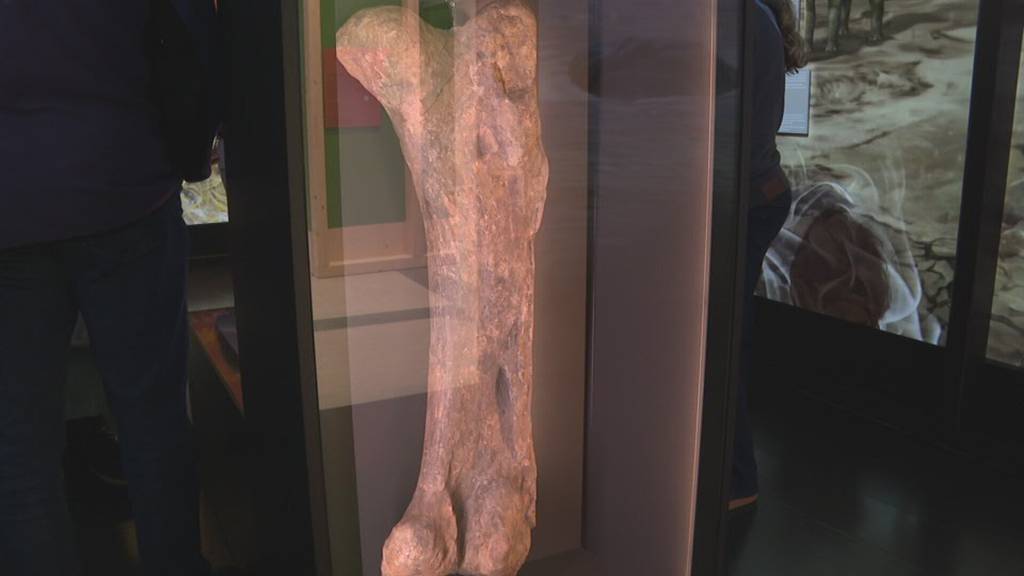 Museum macht Klimageschichte erlebbar