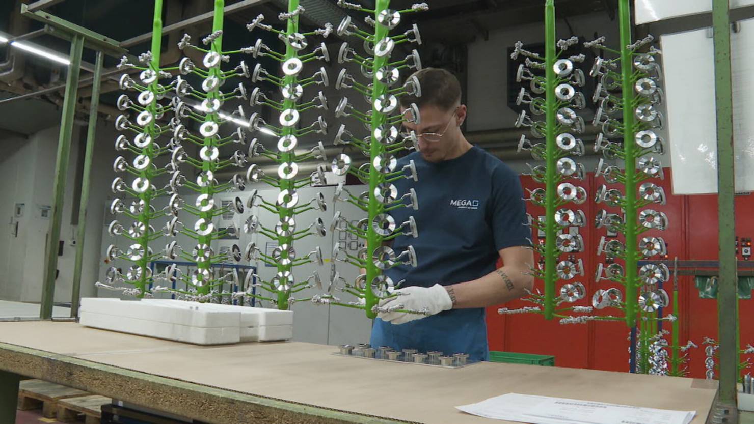 MEGA GOSSAU AG | TVO Online