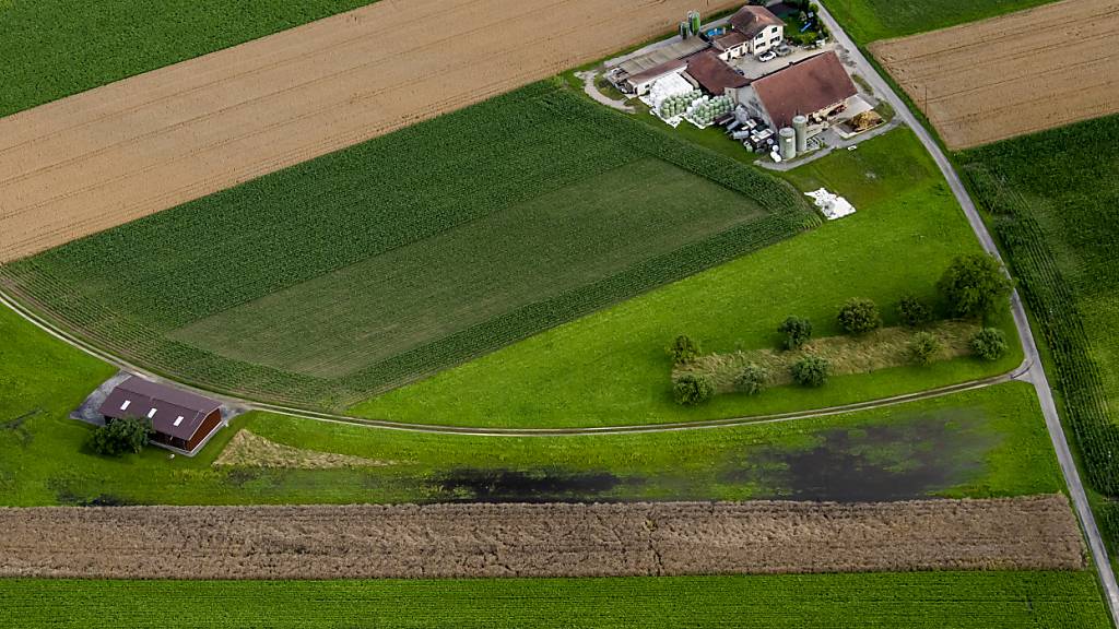 Landnutzung wirkt sich auf Lebewesen im Untergrund aus