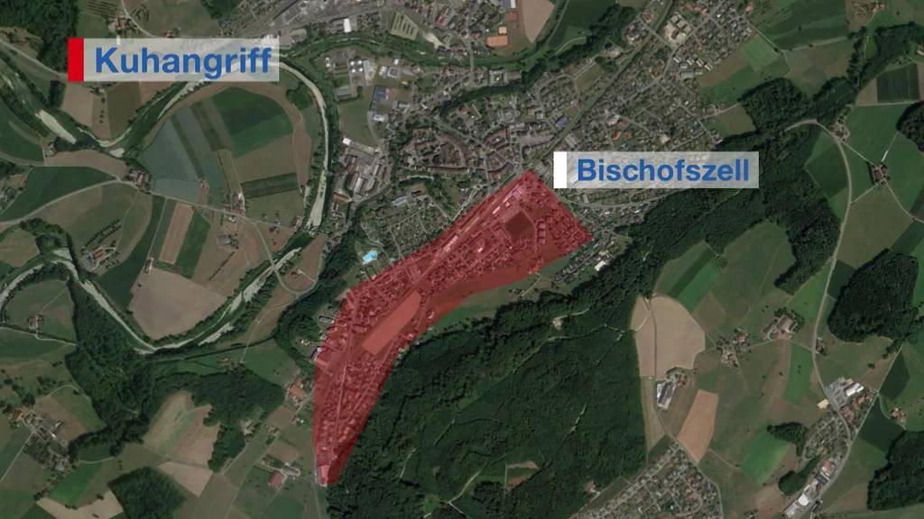 Abgehauen: Kuh verletzt in Bischofszell zwei Personen