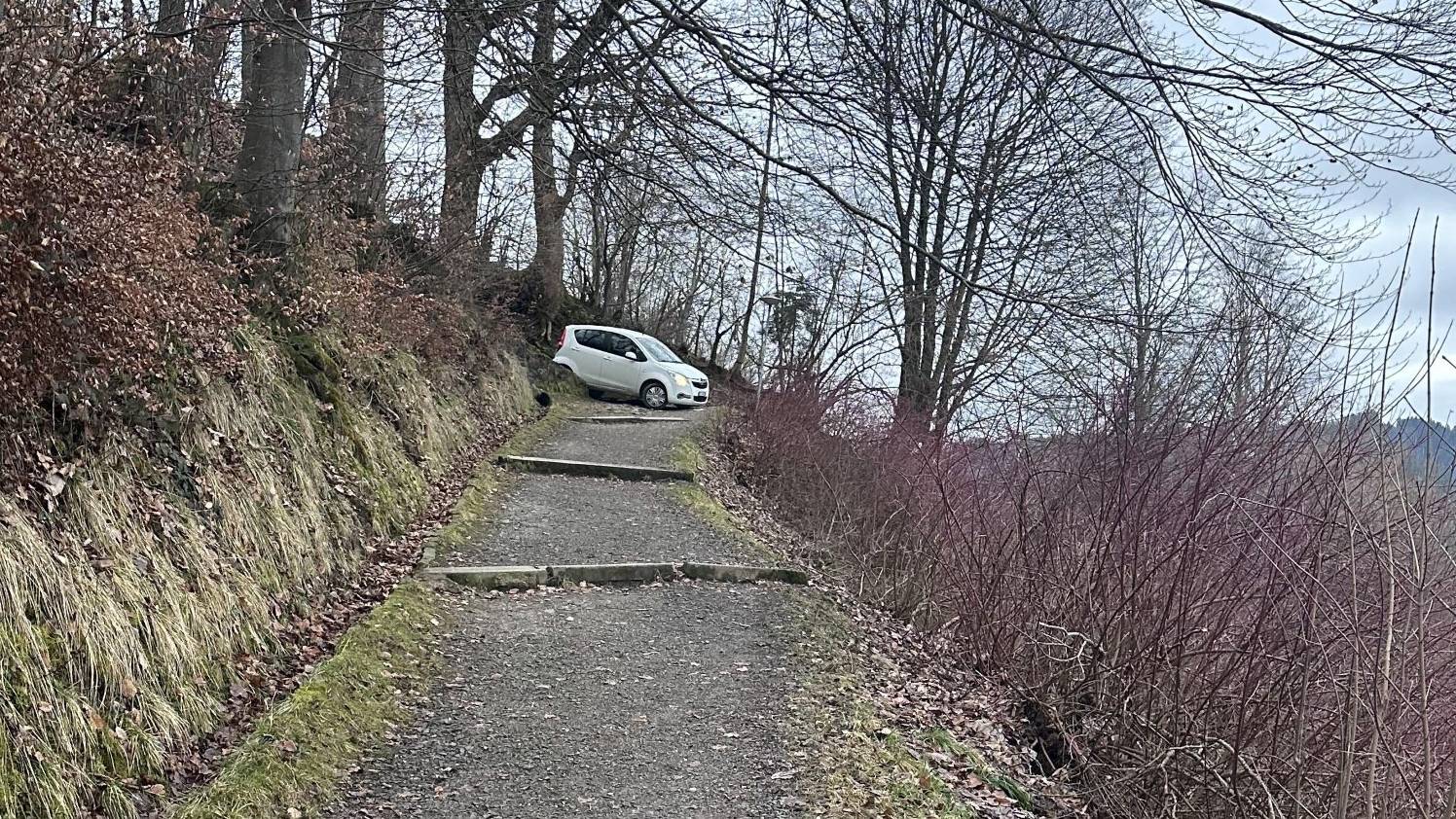 Die Kapo Schwyz hat einen Autofahrer in fahrunfähigem Zustand auf dem Fussweg gestoppt.