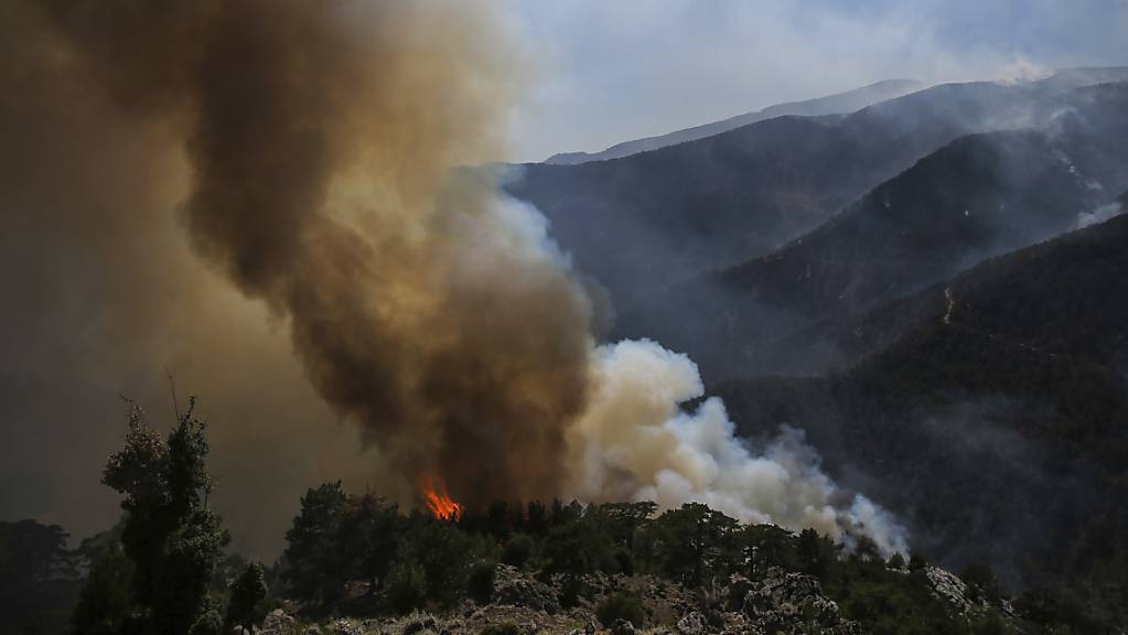 Rauch und Flammen steigen empor während eines Waldbrandes in Koycegiz, in der Provinz Mugla im Südwesten der Türkei. Seit dem 28. Juli kämpfen Einsatzkräfte gegen die massiven Waldbrände inmitten einer heftigen Hitzewelle.