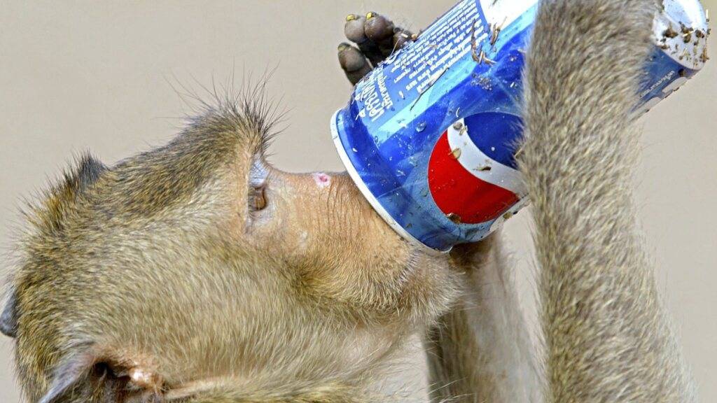 Pepsi setzt im dritten Quartal klar mehr um und erhöht Gewinnprognose (Symbolbild)