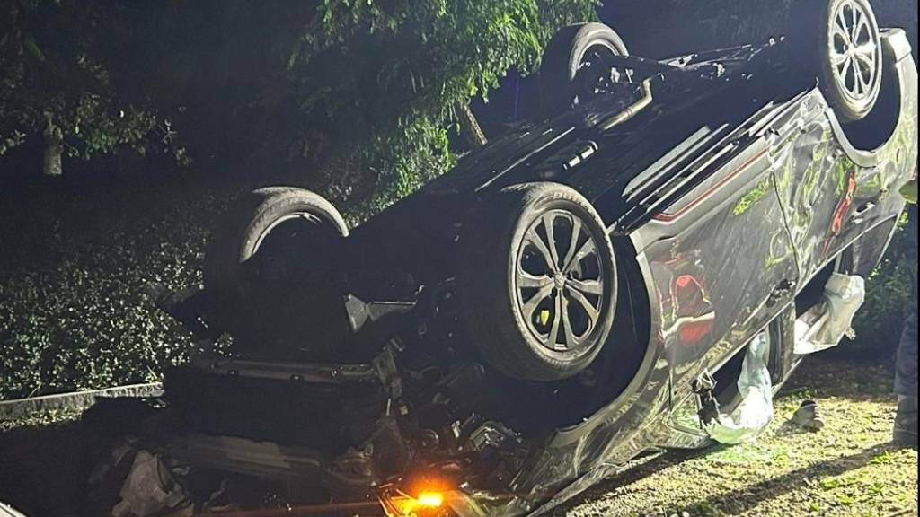 Das Auto kollidierte mit Bäumen, Steinen und einem Zaun und überschlug sich dann in einem Vorgarten.