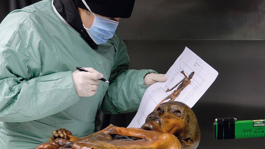 Vor 25 Jahren wurde Ötzi gefunden