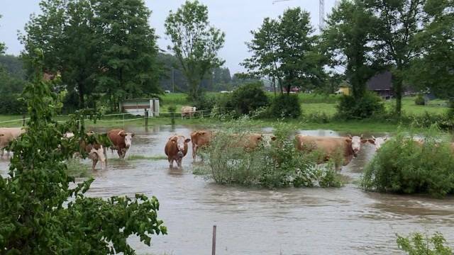 Schon wieder Hochwasser