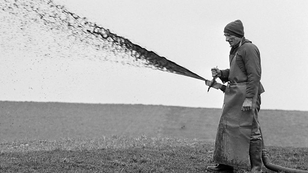 Ein Bild aus der Vergangenheit: Ein Bauer im Emmental bringt im März 1995 Gülle  mit einem Schlauch aus. Heute gibt es emissionsärmere Methoden. (Archivbild)