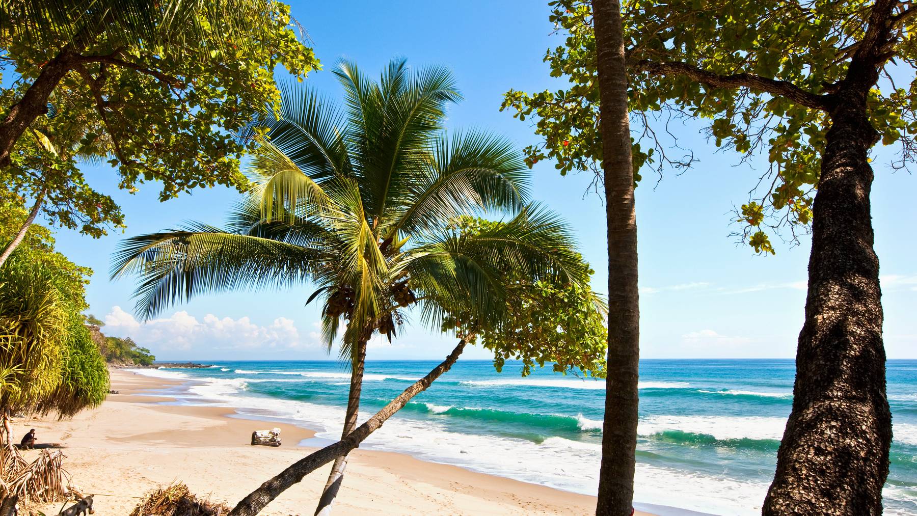 Palmen Strand Meer Traumstrand Ferien Reisen GettyImages-541430428