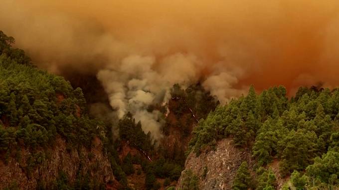 Waldbrände auf Insel Teneriffa lodern unaufhörlich weiter