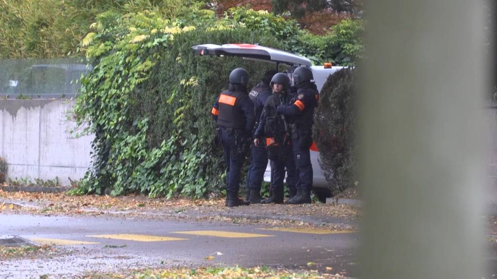 Polizei nimmt 54-Jährigen nach Drohung in Meilen fest