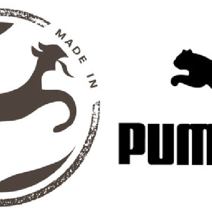 Puma beisst zurück
