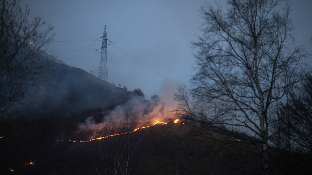 Evakuierungen wegen Waldbrand im Tessin