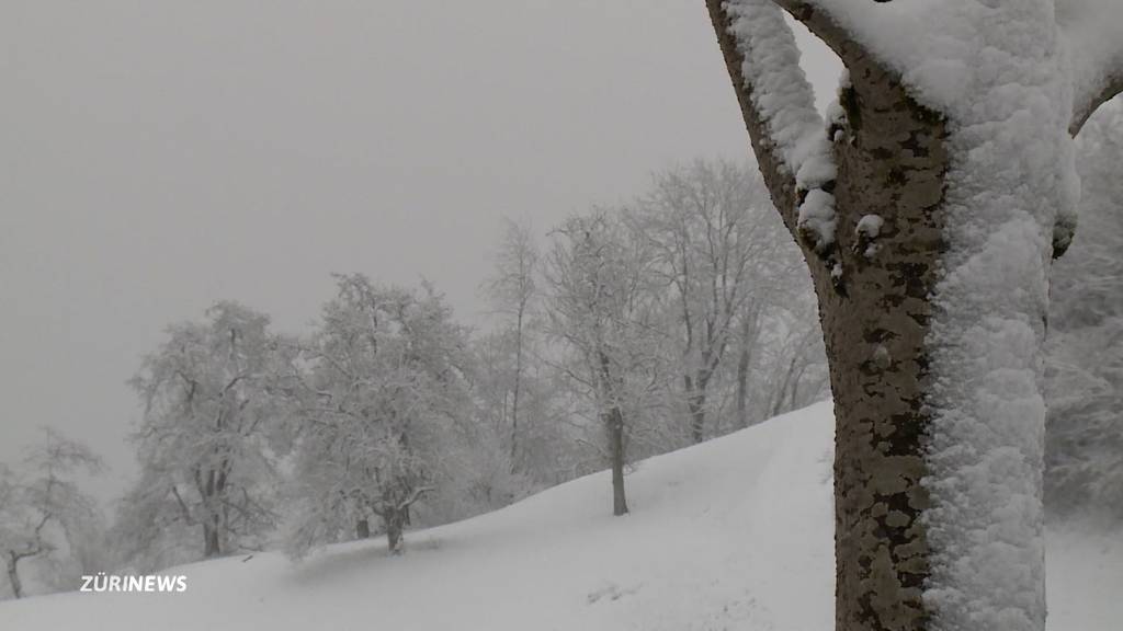 Aprilwetter bringt Schnee in den Kanton Zürich