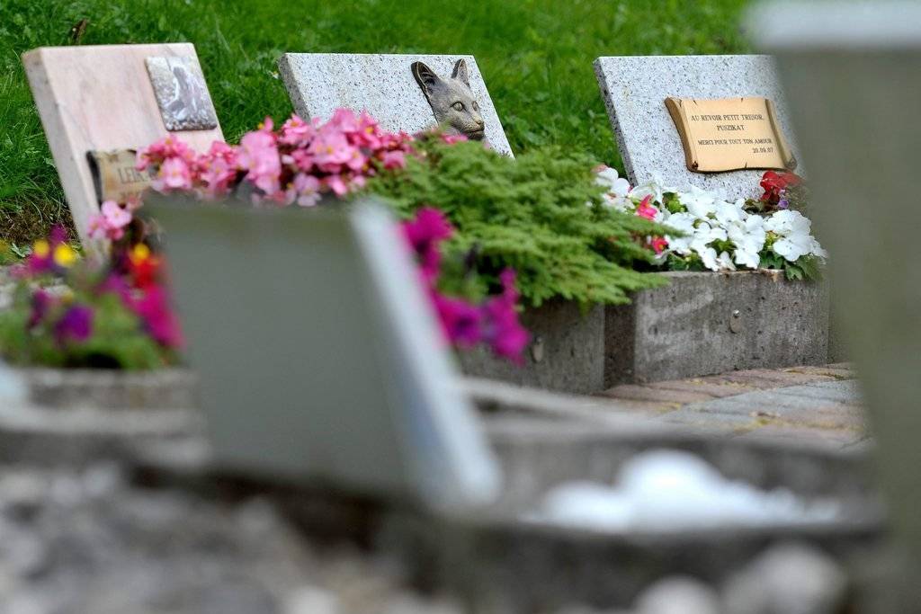 Das geliebte Haustier auf dem Friedhof besuchen zu können, bietet für manche Menschen Trost. (Symbolbild)