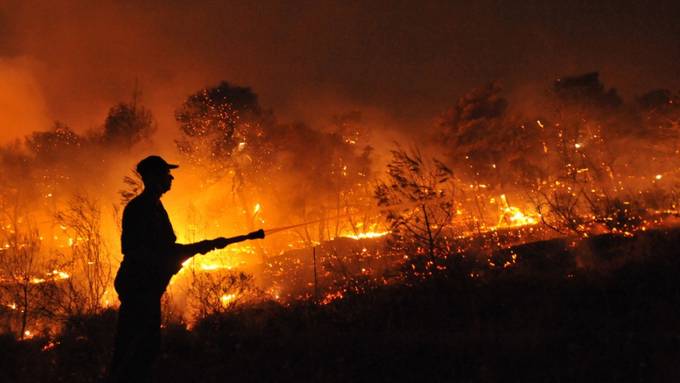Erneut Waldbrand in Griechenland ausgebrochen