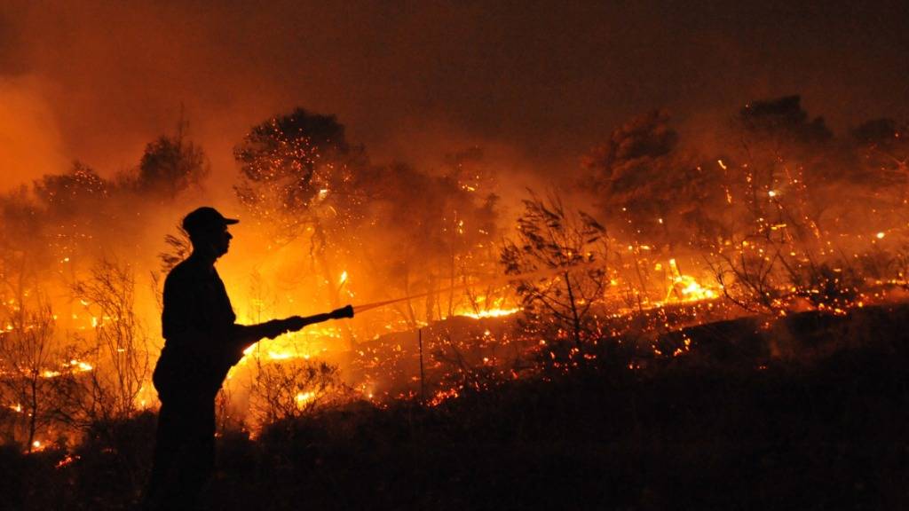 In Nea Makri nordöstlich von Athen ist erneut ein Waldbrand ausgebrochen. (Archivbild)