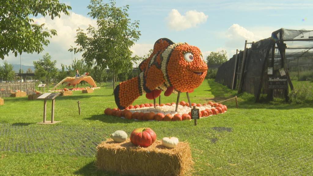 Tausende Kürbisse, riesige Figuren und erstmals Eintritt: Alles rund um die neue Ausstellung der Juckerfarm
