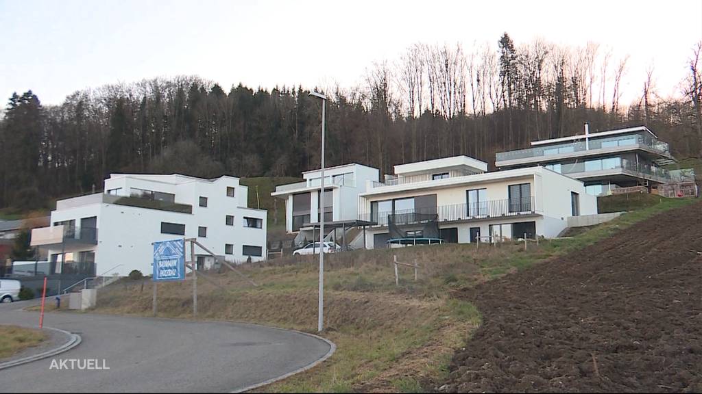 Widerstand gegen Terrassenhäuser am Hallwilersee