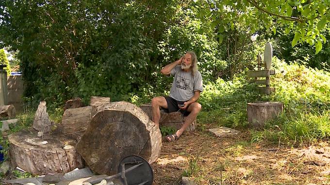 Reinach: Zwei Schweine aus Garten geklaut