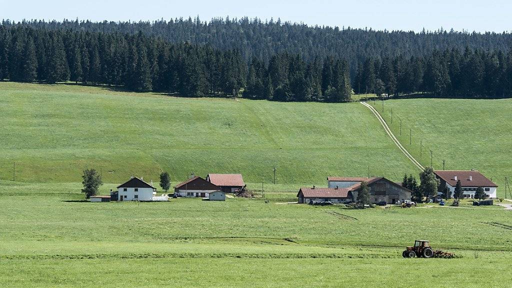 Bäuerinnen und Bauern sind im Schweizer Agrarsystem, das auf Familienbetrieben aufgebaut ist, zufriedener als ihre Berufskollegen in Nordostdeutschland. Dort ist das Agrarwesen weitgehend industrialisiert und von Nicht-Familienbetrieben geprägt. (Symbolbild)