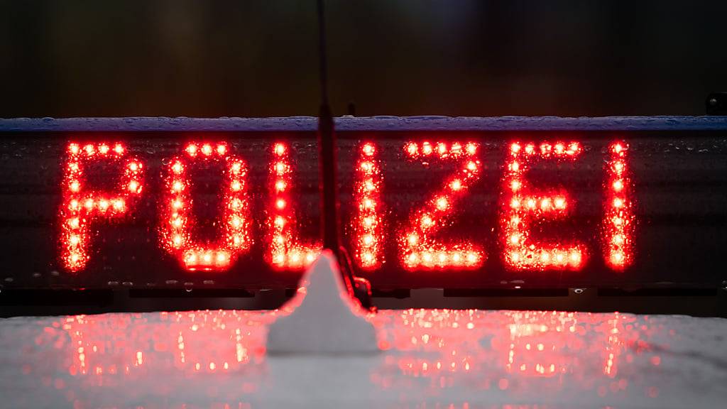 Die Zürcher Stadtpolizei hat am Montagabend eine unbewilligte Demonstration im Kreis 4 begleitet. (Symbolbild)