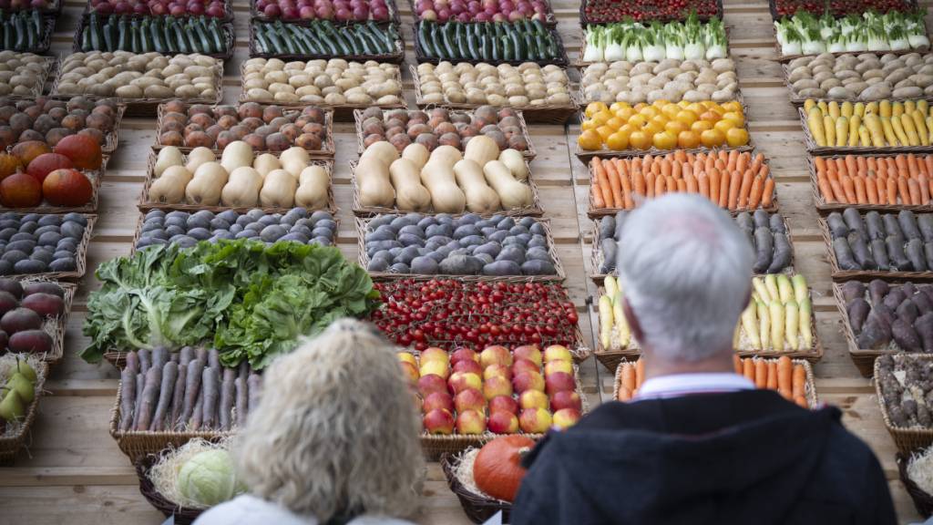 335'000 Menschen besuchten die diesjährige  Schweizer Messe für Landwirtschaft und Ernährung mit dem Motto «Gnüsse a de Olma». (Archivbild)