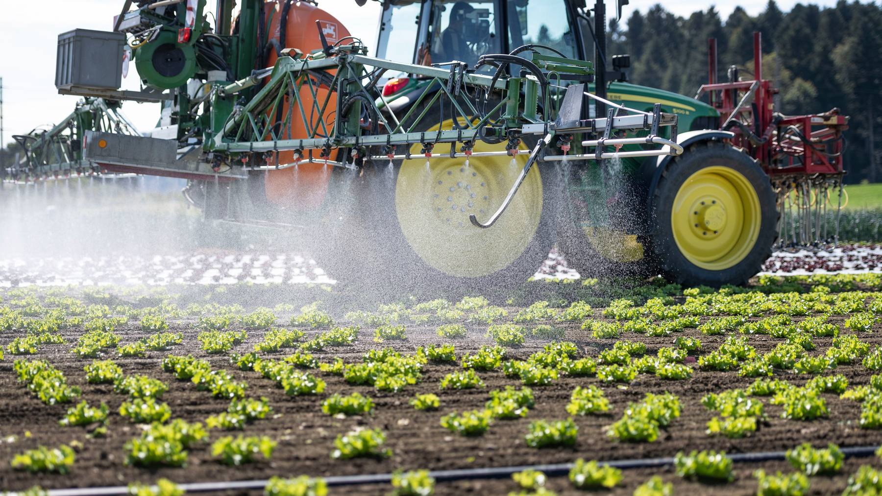 Das Bundesparlament sucht nach einer Antwort auf das Unbehagen in breiten Kreisen der Bevölkerung zum Einsatz von Pestiziden. (Symbolbild)