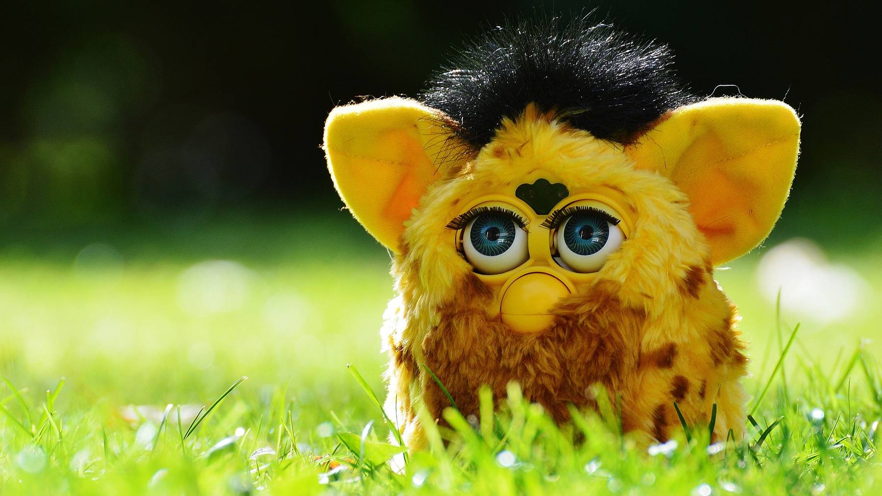 Furby