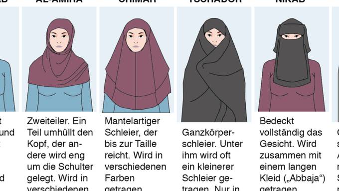 Breite parlamentarische Allianz gegen Burka-Verbot