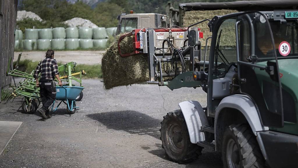 Bei einer Solidaritätsaktion wurde Tierfutter auf Landwirtschaftsbetriebe im Bündner Südtal Misox geliefert, denen im Juni die Landwirtschaftsflächen von Unwettern verwüstet worden waren.