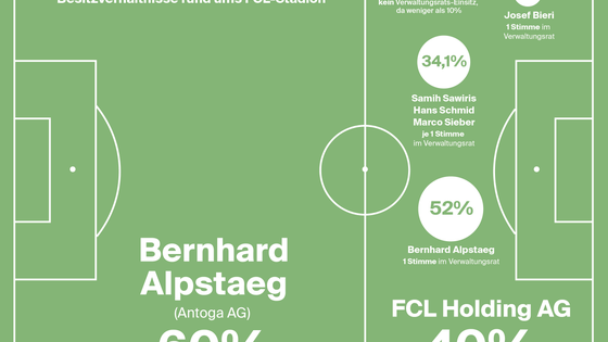 Die aktuellen Aktienverhältnisse beim FC Luzern.