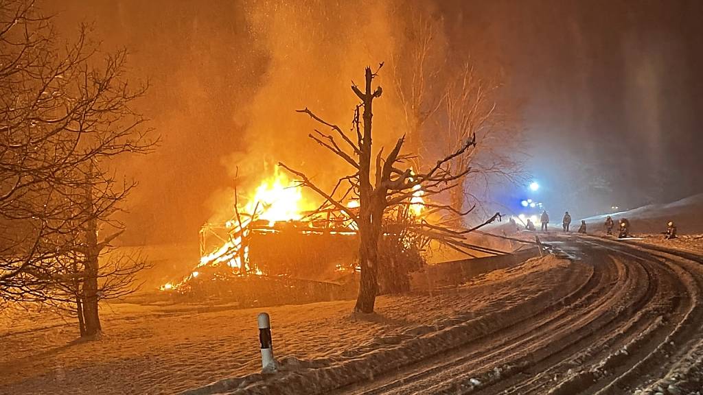 Abgebrannter Stall in Goldau hat nochmals Feuer gefangen