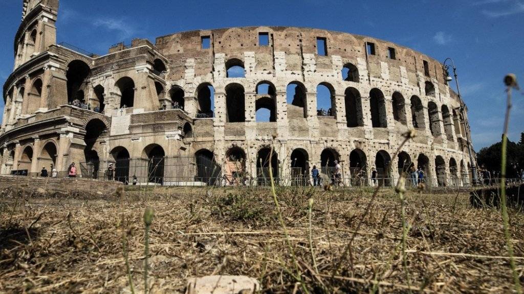 Dürre rund ums Colosseum im Zentrum von Rom - die italienische Hauptstadt trocknet aus. Am Montag kam das rettende Nass (Aufnahme vom 31. August).