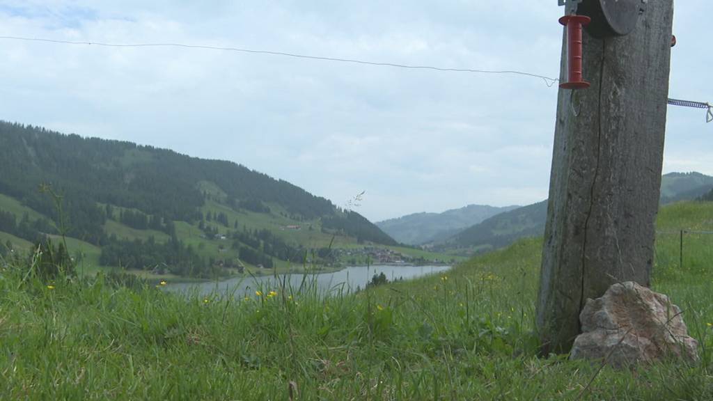 Alpine Rettung Bern übt für den Ernstfall