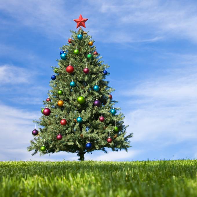 Nichts mit weisser Weihnacht: Im Flachland bleibt es definitiv grün