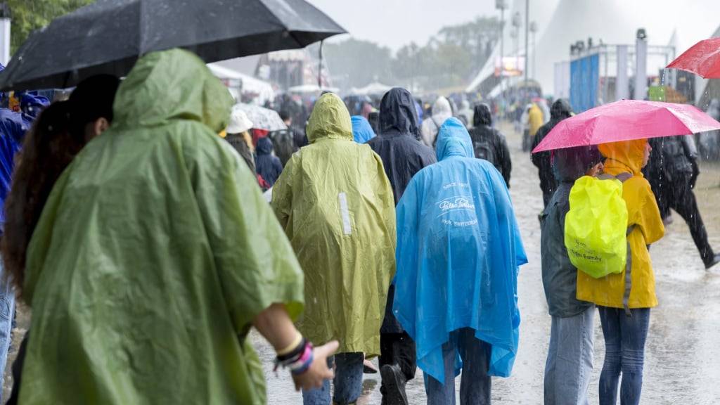 Trotz eines Rückgangs bei anderen Kulturveranstaltungen legen Festivals zu: Paléo-Festival in Nyon 2025. (Archivbild)