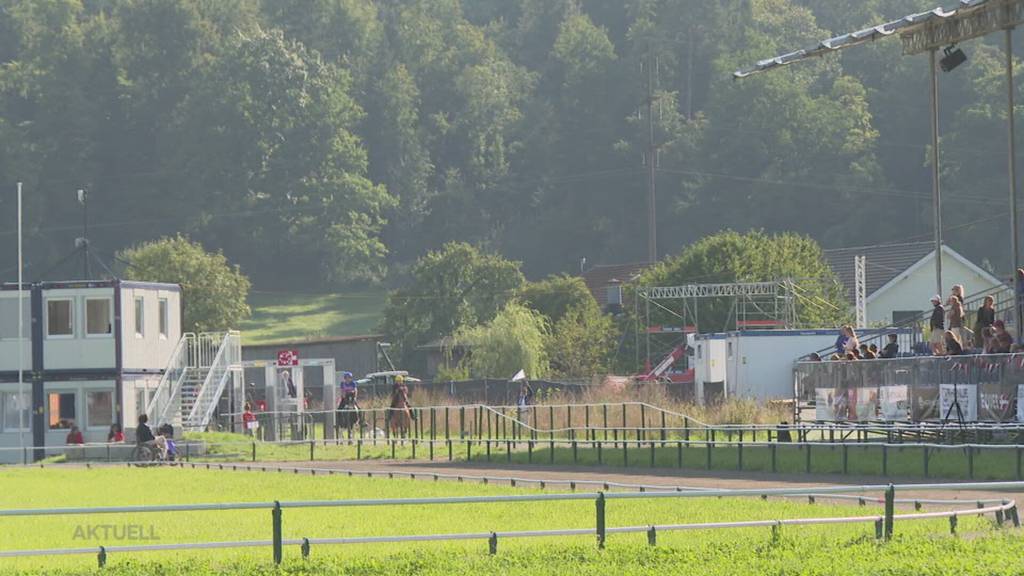 Harte Regeln: Isländer die zur Weltmeisterschaft nach Birmenstorf kommen müssen Ihr Pferd hier lassen