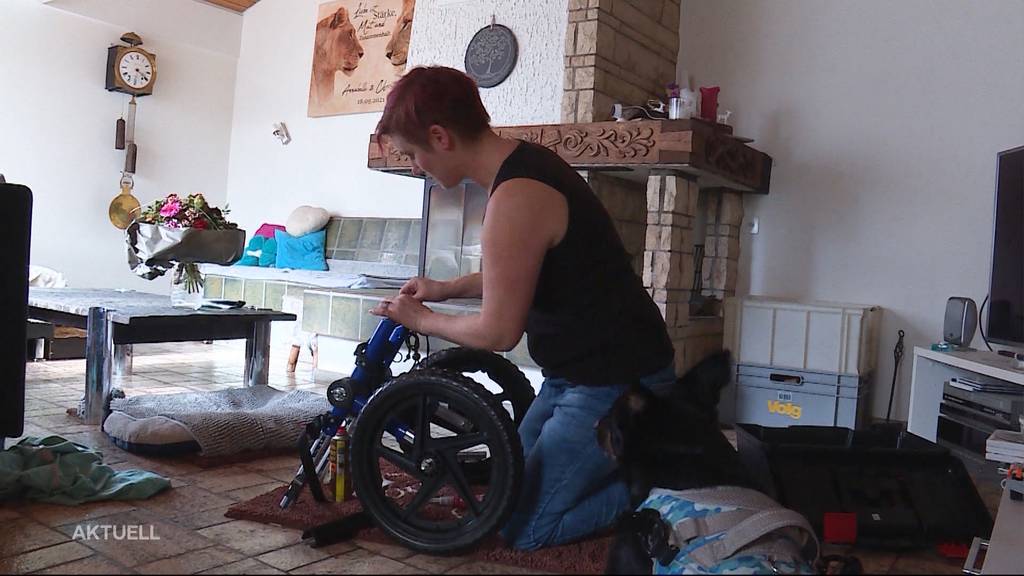 Aargauerin fertigt Rollstühle für behinderte Hunde an
