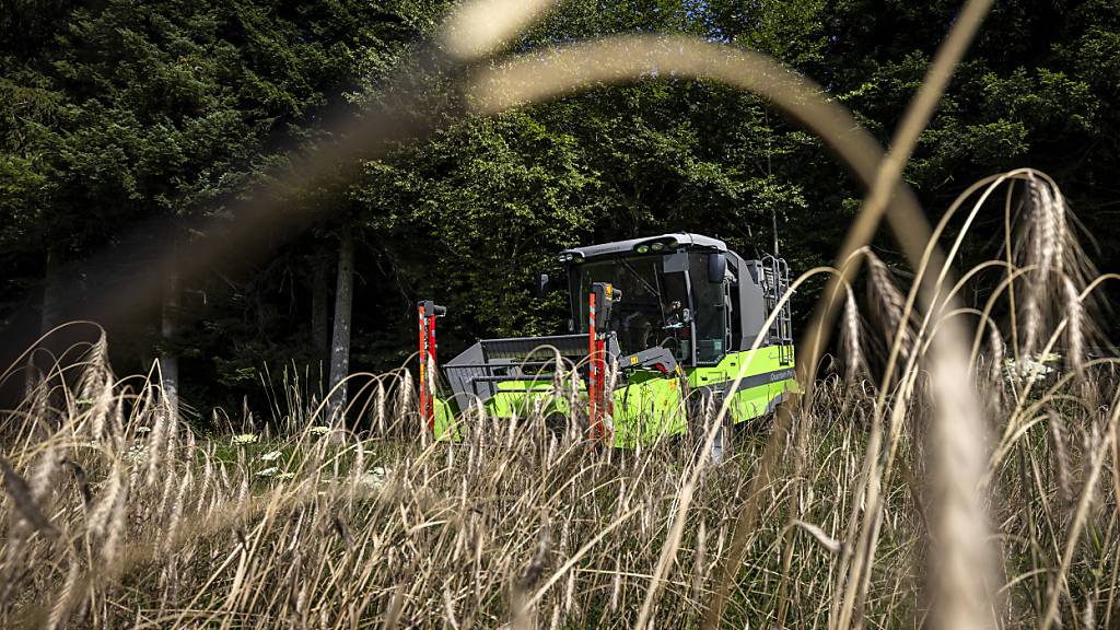 Urner Parlament will Landwirte bei Enteignungen höher entschädigen