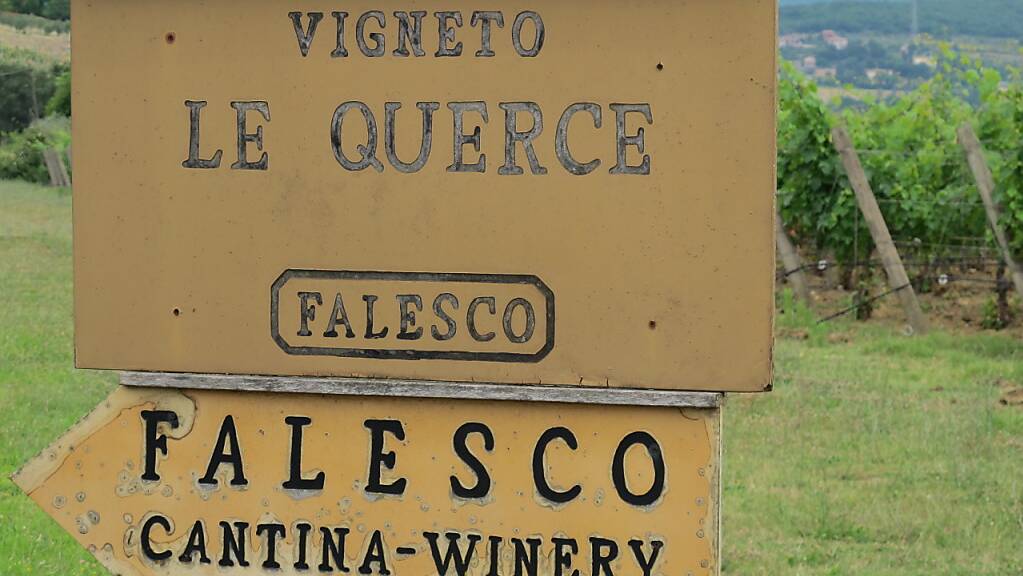 Schilder weisen auf das Weingut Falesco der Familie des italienischen Winzers und Wein-Beraters Riccardo Cotarella hin. Er hilft Promis auf ihren Weingütern und ist in seiner Heimat selbst ein Star.