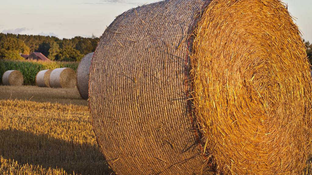 straw-1589452_1920